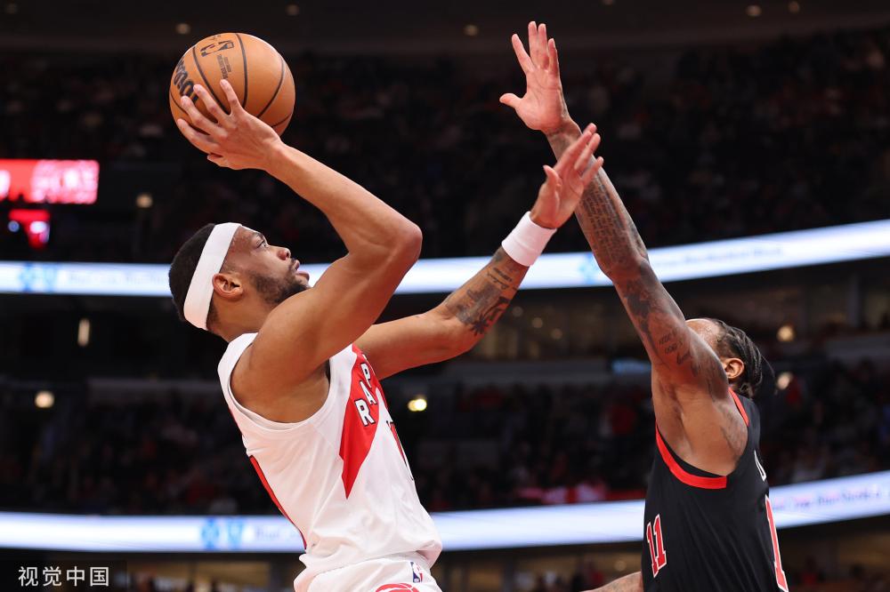 浙江男篮的 浙江男篮的